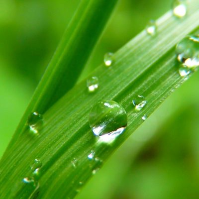 drop-of-water-7720_1920-1024x768-1.jpg